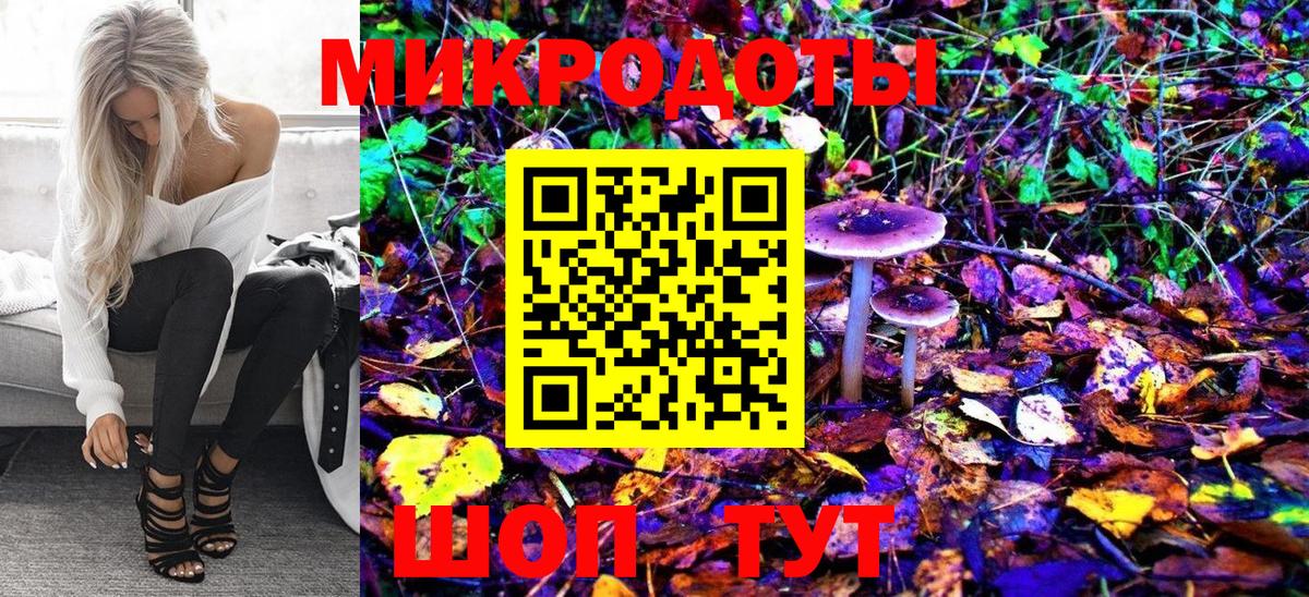 Псилоцибиновые грибы прущие грибы  Вход с VPN  купить   Псилоцибиновые грибы Psilocybine cubensis  Сунжа 